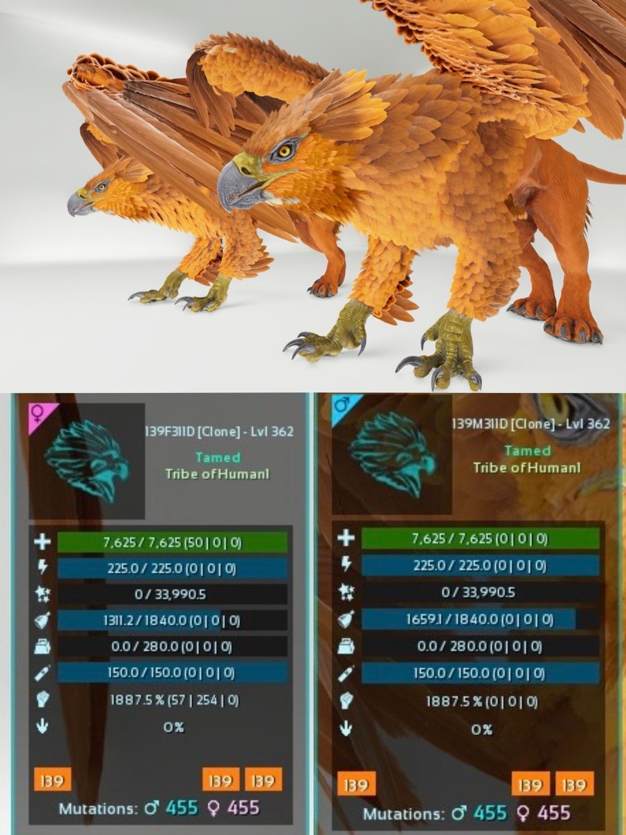 Ark Survival Ascended Pve Griffin Clone Alto Livello Ragnarok dome Ark Survival Ascended Pve Griffin Clone Alto Livello Ragnarok dome