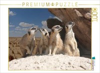 Calvendo Puzzle Meerkats In The Desert | 1000 Pieces, Finished Size 25.2 × 18.9