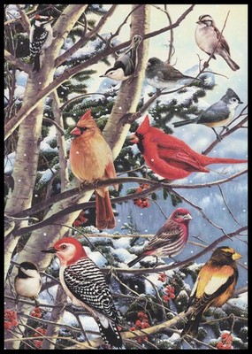 Greeting Card - Bird - Greg Giordano - Christmas CL054