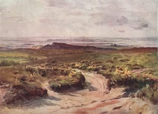 Studland Heath with Poole Harbour in the Distance in Dorset - Antique Print 1925