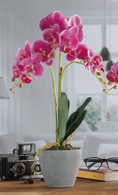 PFLANZE 14xh54 CM Orchidee VASE VASE KÜNSTLICHE KÜNSTLICHE PFLANZE ORNAMENT