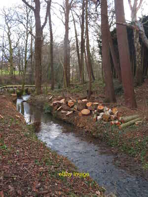 Foto 12x8 Otter Hills Beck Easby\/NZ5708 Beweise für etwas jüngeres Holz f c2022