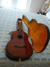 Ventura Bruno V-1600 Acoustic Guitar And Case