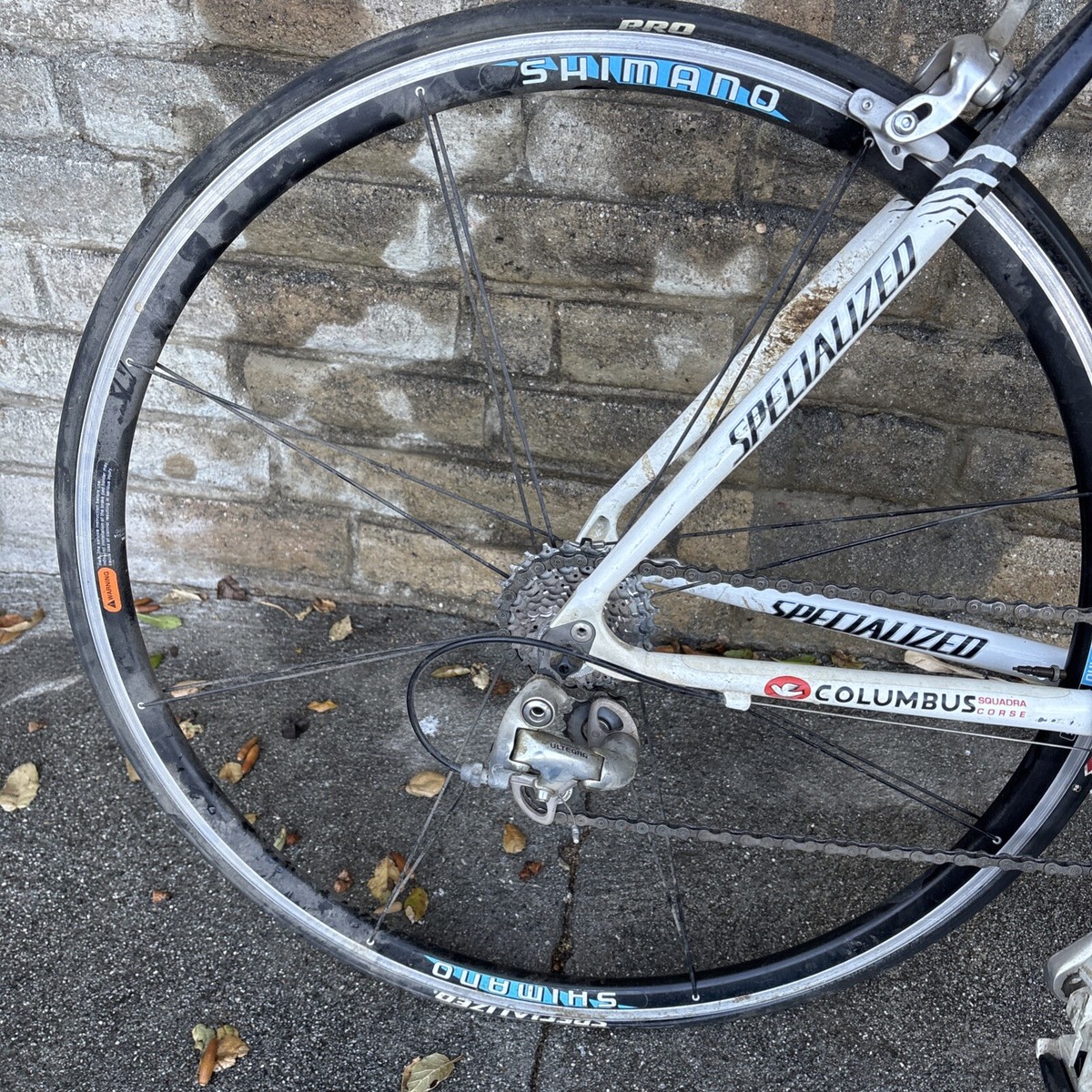 Specialized Allez Columbus Squadron Corse With Ultegra Gear | eBay