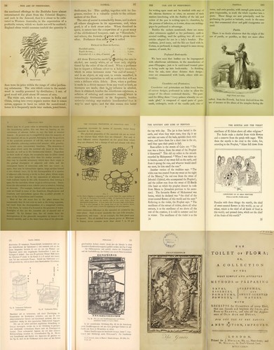 Perfume Perfumery Fragrance Essential Oils Scent Olfaction - 88 Old Books on DVD - Picture 9 of 12