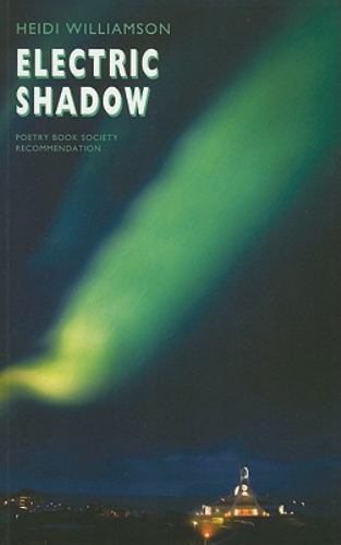Electric Shadow Heidi Williamson - Image 4