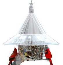 Arundale Mandarin Squirrel-Proof Wild Bird Feeder with 4 Perches, 7lb Capacity