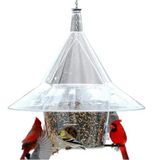 Arundale Mandarin Squirrel-Proof Wild Bird Feeder with 4 Perches, 7lb Capacity