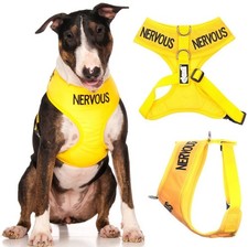 Dexil Limited Nervous (Give Me Space) Yellow Color Coded Non-Pull Front and Back