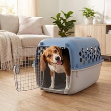 Vibrant Life 26" Plastic Portable Kennel for Dogs, Blue/ Green/ Pink- 45lb Limit