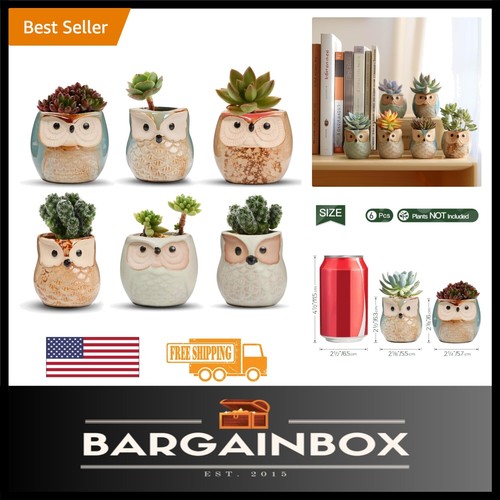 Adorable Owl Planter Pots - Set of 6 with Drainage Holes for Your Indoor Garden