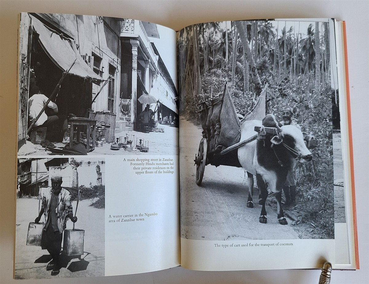 中世から現代までのボタン 写真集「Bottoni」Zanfi Editori 中世から現代までのボタン 写真集「Bottoni」Zanfi Editori MATSURI