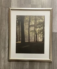 Fine Art Photography By Marc Zoschke” Sunlight Through The Trees “