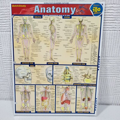 NEW QuickStudy Anatomy Laminated Tri-Fold Study Guide Original 