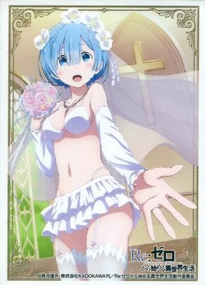 Bushiroad Sleeve Collection Extra Vol 191 Re Zero Card Sleeves 60 Pack