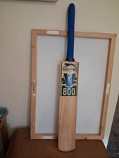 Classic Slazenger V800 Panther Cricket Bat