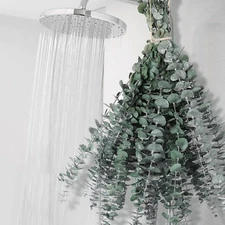 12 PCS Dried Eucalyptus Stems for Shower - 17" Preserved 12pcs, Green 
