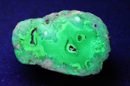 Puma agate slice collector specimen (Fluorescent) - Picture 2 of 7