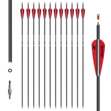 Hunting 12pcs 28" Carbon Arrows Vane Spine 400 for Compound/Recurve Bows