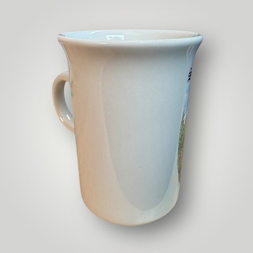 Anne Hathaway's Cottage Stratford Upon Avon Coffee Tea Cup Mug - Made in England - Picture 4 of 11