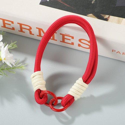 Cute Candy Colors Phone Chain Cellphone Strap Anti-lost Lanyard Summer Chain - 第 15/23 張圖片
