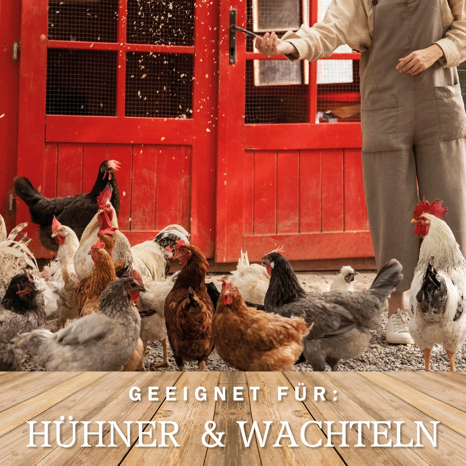 Hühnerfutter Geflügelfutter Premium - KÖRNER-VITAL EXZELLENT 30 kg - GVO-Frei - Bild 3 von 4