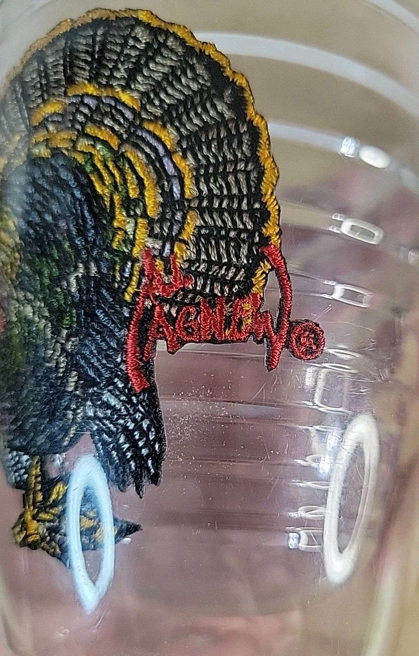 Picture 6 of 11