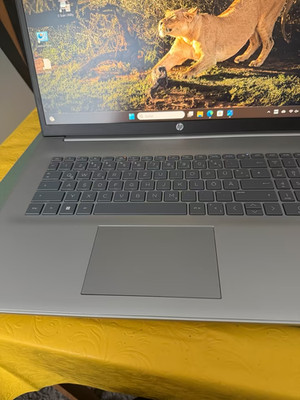HP 17-cn3264ng Notebook 17,3 Zoll FHD 512 GB SSD 8 GB RAM Core i5 1334U Silber