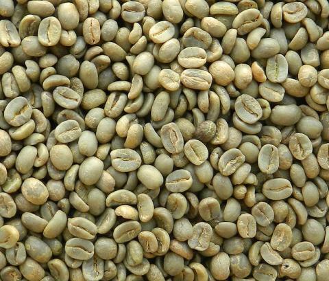 5kg Raw Coffee - East African AA beans - Picture 2 of 12