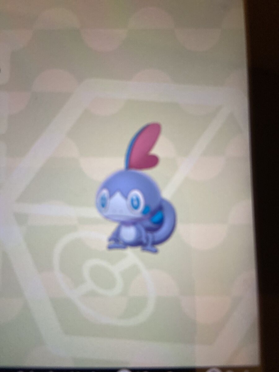 6IV Shiny Sobble Pokemon Sword and Shield Fast Trade 