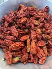 Dried Super Hot Ghost Peppers  (Bhut Jolokia Peppers ) Whole Home Grown