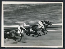 1938 WAR ADMIRAL Iconic Race Horse Vintage Photo FINISH LINE in DEBUT!