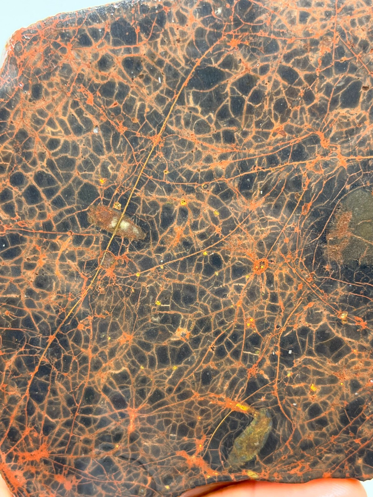 Foto 2 di 7