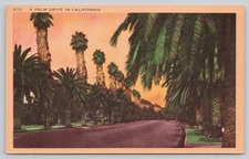 Vintage Linen Postcard A Palm Drive in California by Longshaw Card Co.
