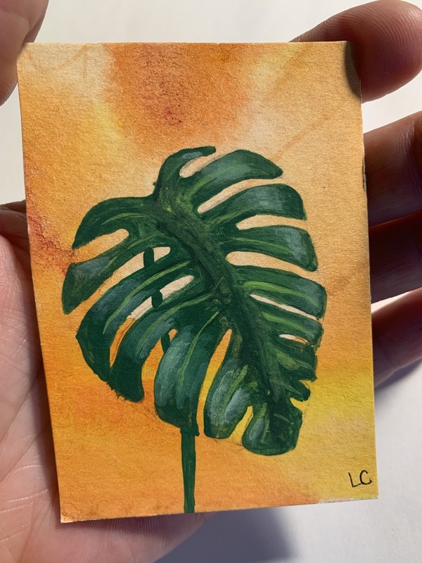 ACEO 2.5x3.5 original acrylic painting by Lucy-Kate Culverhouse - “Monstera d.”