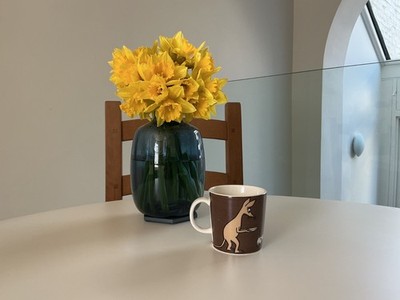 Seltene Arabia Finland braune ''Nipsu'' Schnüffelmumin Tasse - Sammlerstück