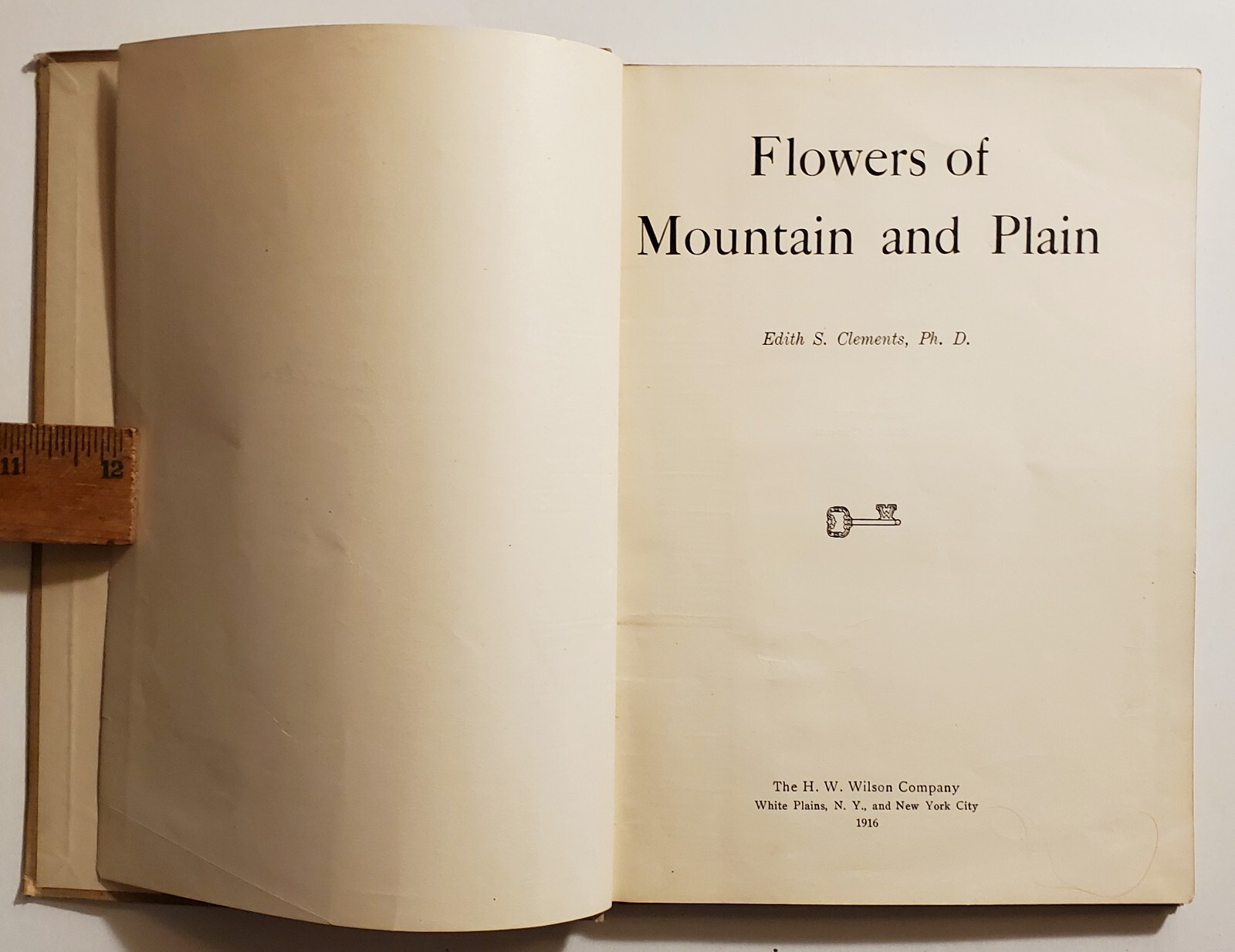 Flowers of Mountain and Plain Edith Clements Botany Field Guide Rocky ...