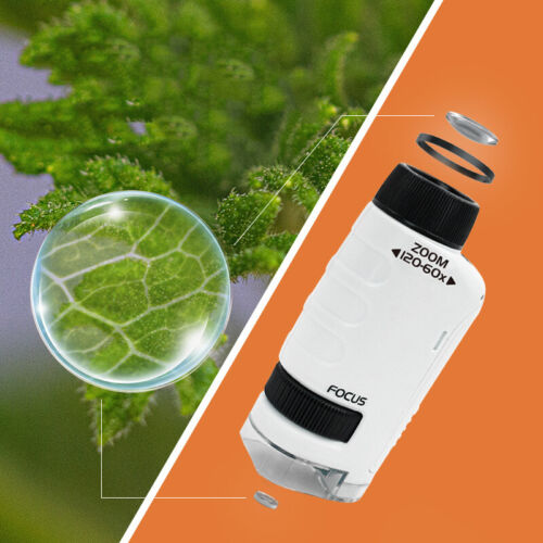 60~120x Pocket Microscope for Kids & Adults, Portable Microscope with LED Light - Picture 3 of 15