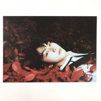 ENHYPEN] DARK BLOOD / Bite Me / New Ver. Official Postcard | eBay