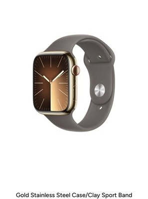 Apple Watch Series 9 45mm Stainless Steel Case with Milanese Loop