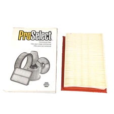 NAPA 22793 ProSelect Commerical Air Filter - PA4163 87793 AF1112 AF1696 CA8997