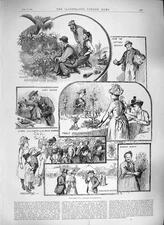 Old Antique Print 1889 Village Flower Show Plants Grapes Cottage Garden 19th