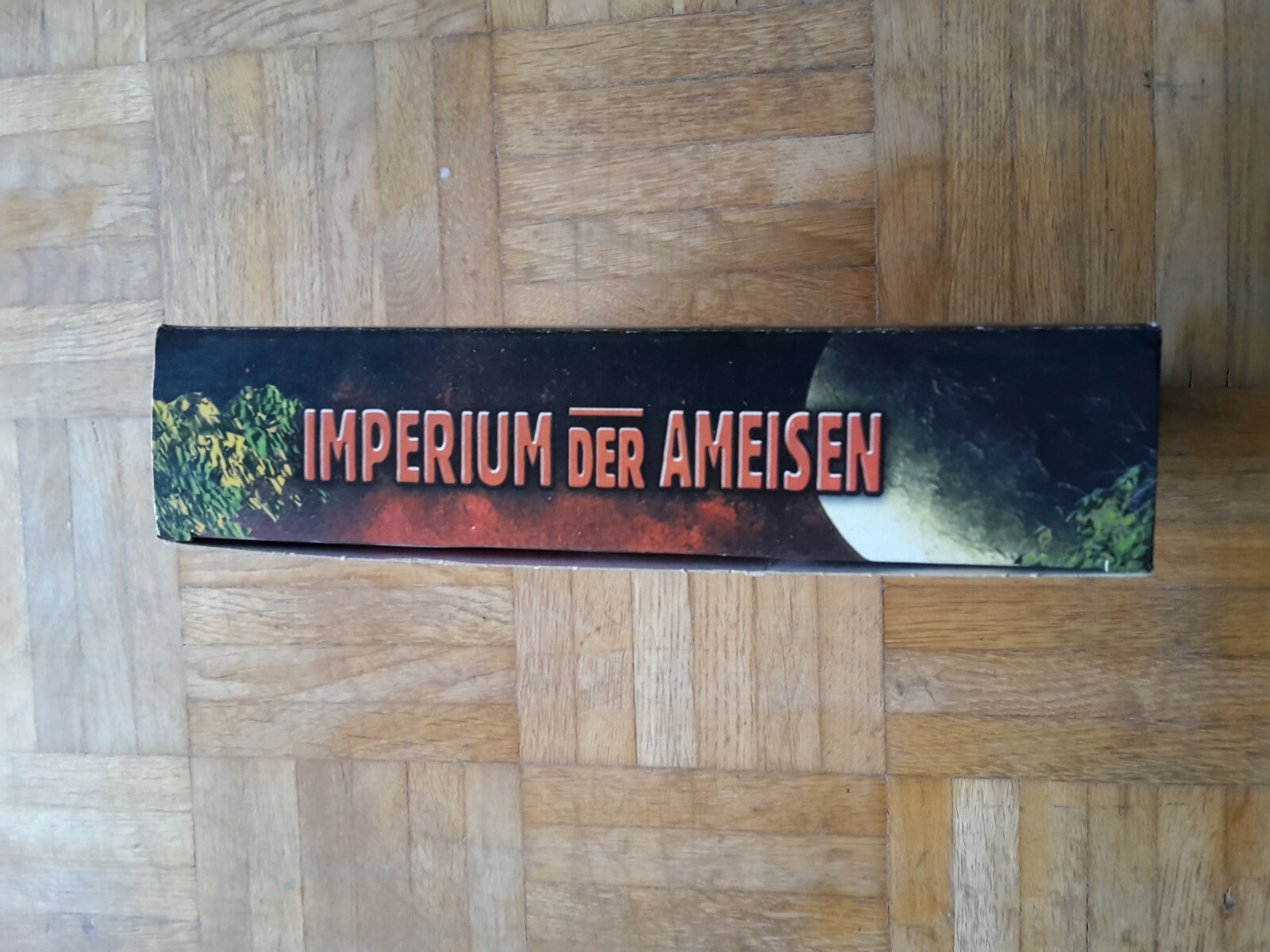 Bild 5 von 11