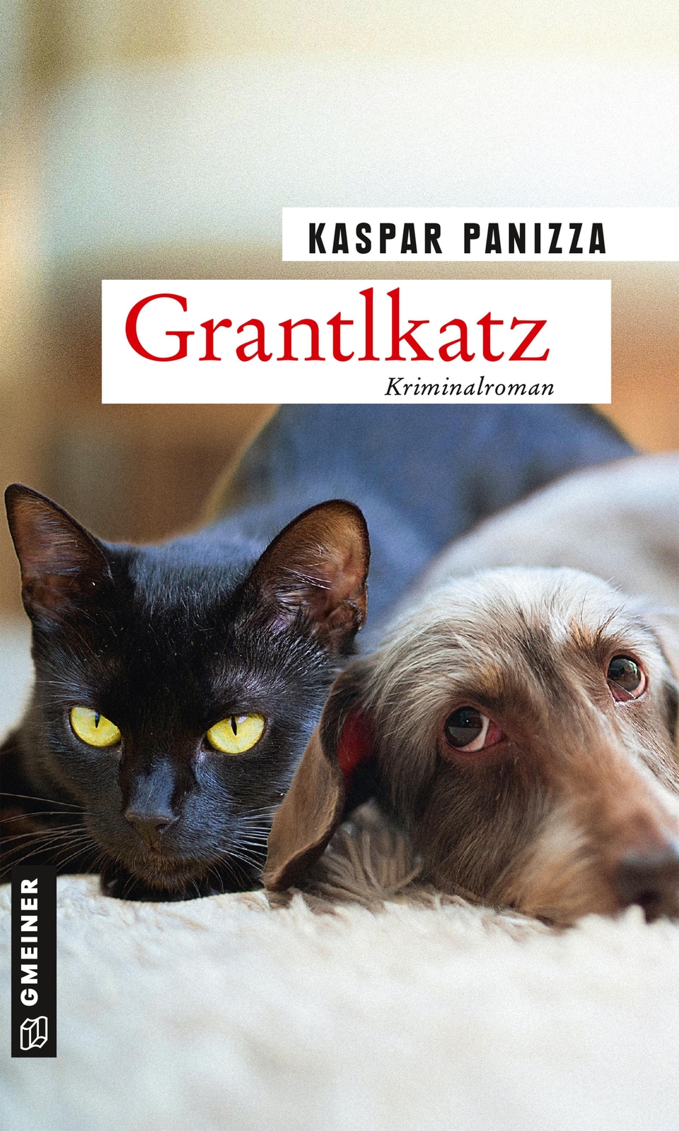 Thumbnail - Kaspar Panizza | Grantlkatz | Taschenbuch | Deutsch (2020) | 250 S.
