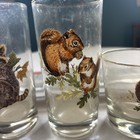 Vintage  West Virginia Glass Company WESTON Wildlife squirrel Raccoon Set 4 — photo 4