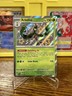 Pokémon TCG Paldean Fates Arboliva 104/91 Baby Shiny Near Mint