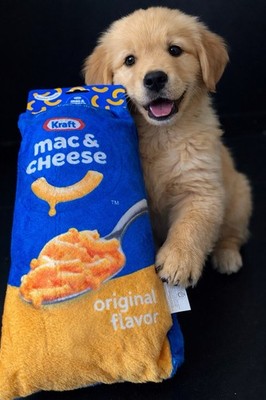Dog Toy Kraft Mac&Cheese Squeaker  9in Polyester Stuffed