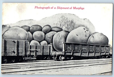#ad Wisconsin WI Postcard Photograph Of A Shipment Of Murphys Potatoes 1913 $19.47