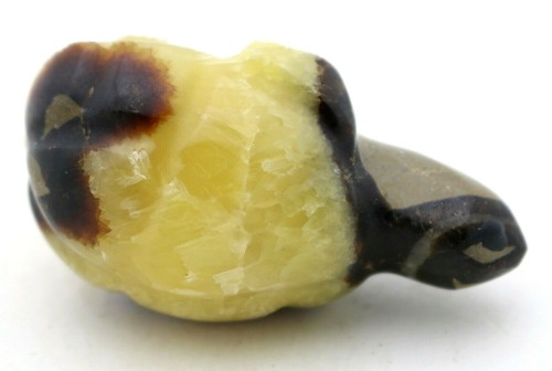 Wonderful MADAGASCAR Carved Septarian TURTLE Natural Mineral Stone - Picture 5 of 6