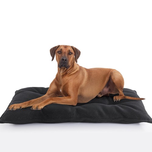 Chew Proof Indestructible Dog Bed – Durable Washable Crate Pad for Aggressive